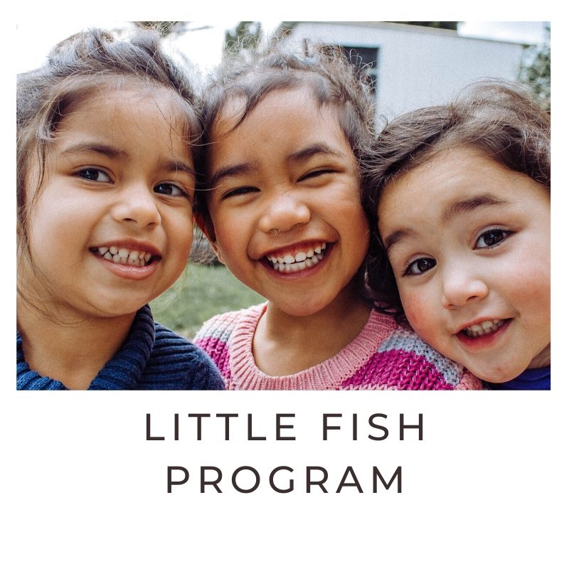 Little Fish Program